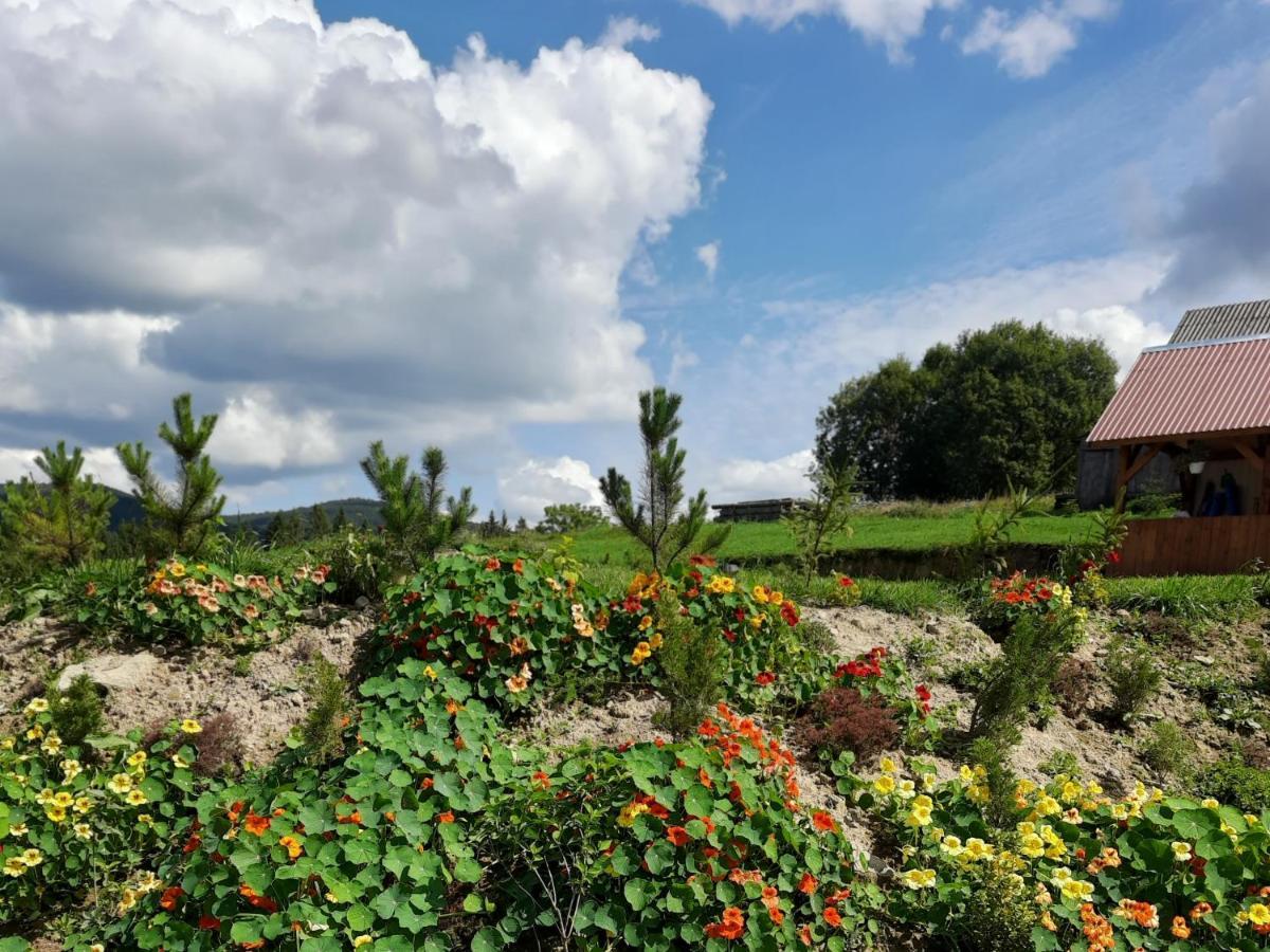 Омріяні Карпати Villa Smozhe Kültér fotó