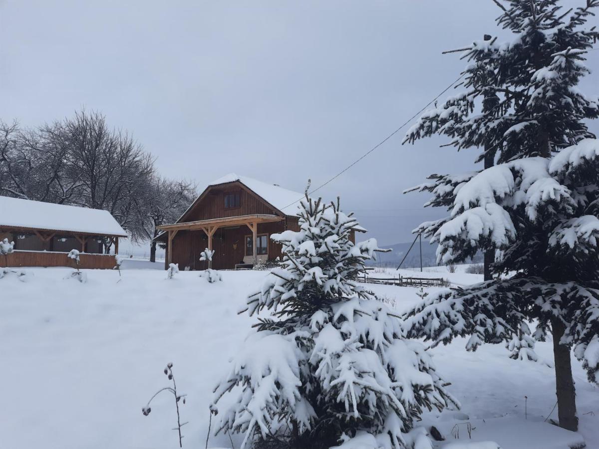 Омріяні Карпати Villa Smozhe Kültér fotó